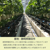メロン 【トヨタ緑産】 肥料屋さんが作った あま～いメロン 2玉 2.4㎏ 家庭用 静岡県磐田市