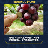 ぶどう 【佐藤果樹園】 あづましずく 2kg 3〜4房 贈答用 福島県 ブドウ 葡萄 《8/中旬～下旬出荷》