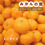 みかん 【みかんの館】 有田みかん ブランド産地 田村地区産 ちびみかん ミニミニ ぷちすぃーと 7㎏ S以下 和歌山県 蜜柑 ミカン 柑橘 《12/中旬～12/下旬より出荷》