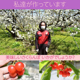 さくらんぼ 【一愛農園】 佐藤錦 ダイヤパック100g×２ 200g 特秀 M 母の日 山形県 東根市 《4/下旬～5/上旬より出荷》