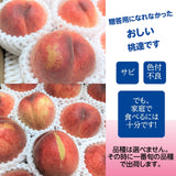 桃  【遠藤農園】 もも 訳あり 家庭用 B品 3.5kg サイズ品種お任せ 福島県 会津 《7/下旬～8/上旬より出荷》