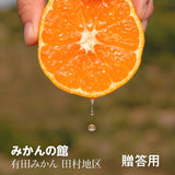 みかん 【みかんの館】 有田みかん ブランド産地 田村地区産 光の雫 贈答用 特秀 S 55~65個 5kg 和歌山県 蜜柑 ミカン 柑橘 《11/下旬～12/上旬より出荷》