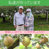 洋梨 【羽田梨園】 ラ・フランス 5kg　訳あり ご家庭用 福島県 萱場 洋ナシ《11/上旬～11/中旬出荷》