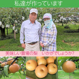 梨 【羽田梨園】 萱場の梨 5kg 訳あり 家庭用 福島県 福島市《9/上旬〜9/中旬より出荷》