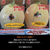 メロン 【阿部商店】 夕張メロン 贈答用 共撰 良品以上 2玉 2.5～3kg お中元 御中元 プレゼント ギフト 北海道 《7/上旬～7/中旬出荷》
