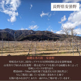 りんご 【帯刀りんご農園】 サンフジ 5kg 贈答用 13～18玉 長野県安曇野市 リンゴ 林檎 ふじ フジ サンふじ