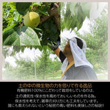 柿 【会津遠藤農園】みしらず柿 御山柿 3.5kg 3L 12個 特秀 化粧箱 贈答用 お歳暮 御歳暮 福島県会津 《11/下旬～12/中旬出荷》