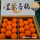 みかん 【昇果園】 M 約4.4kg 44個 御歳暮 化粧箱 贈答用 静岡県 浜松市 蜜柑 ミカン お歳暮 《12/上旬～12/中旬出荷》