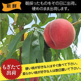 桃 【種まきうさぎ】 あかつき まどか 川中島等 3kg 7～12個 福島県 伊達市 贈答用  プレゼント もも 福島の桃 《7/下旬～8/上旬より出荷》