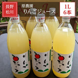 100％ジュース りんごジュース 【原農園】 100％ 無添加 ストレート リンゴジュース １L 6本 長野 松川町 国産