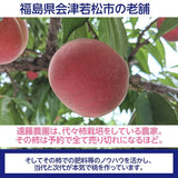 桃  【遠藤農園】 もも 訳あり 家庭用 B品 5kg 14～22個 サイズ品種お任せ 福島県  《7/下旬～8/上旬より出荷》