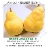 洋梨 【佐藤果樹園】 洋なし ル・レクチェ 1kg 特大 2玉 贈答用 新潟県 ルレクチェ プレゼント 御歳暮 お歳暮 《11/下旬～12/上旬より出荷》