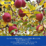 りんご 【 原農園 】 リンゴ サンふじ 5kg 15～18個 贈答用 長野県 松川町 ふじ 《11/下旬～12/上旬より出荷》