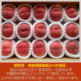 桃 【遠藤農園】 もも 5kg 大玉 14～18個 品種色々 贈答 福島県 会津 《7/下旬～8/上旬から出荷》
