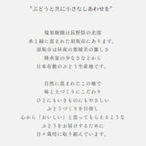 ぶどう 【境果樹園】 シャインマスカット クイーンルージュ 1~2房ずつ 約1kg 長野県須坂市 《9/下旬～10/上旬より出荷》