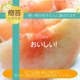 桃 【遠藤農園】 もも  5kg 20～22個 7月の桃 昂紀 夏雄美 福島県 会津 《7/中旬～出荷》