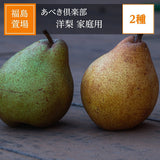 洋梨 【あべき倶楽部】 洋ナシ 2種類入り 2.5kg 4～12個 ご家庭用 訳あり 福島県 洋なし 《10/下旬～11/上旬より出荷》