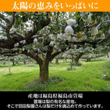 洋梨 【羽田梨園】 ラ・フランス 3kg　訳あり ご家庭用 福島県 萱場 洋ナシ《11/上旬～11/中旬出荷》