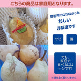 洋梨 【佐藤果樹園】 洋なし ル・レクチェ 4kg 9～14玉 訳あり ご家庭用 新潟県 ルレクチェ《11/下旬～12/上旬より出荷》