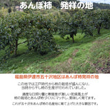 干し柿 あんぽ柿 【種まきうさぎ】 五十沢の秘伝完熟あんぽ柿 1kg 10～15個 化粧箱 福島県 伊達 干柿