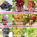 ぶどう 【土屋農園】 葡萄 詰め合わせ 約2kg 3～4房 シャインマスカット入り 3種類 贈答用 山形県 高畠 《9/中旬～9/下旬より出荷》 フルーツ 果物