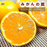 みかん 【みかんの館】 有田みかん 田村地区産 訳あり ご家庭用 ど根性くん 3kg サイズ不揃い 和歌山県 蜜柑 ミカン 柑橘 《11/上旬～11/中旬より出荷》