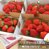 いちご 【アグリハウス秋山】 とちおとめ 250g×4パック 翌日配達の地域(北海道・中国・四国・九州・沖縄以外）限定　福島県須賀川 苺 イチゴ 《12/中旬より出荷》
