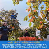柿 【会津遠藤農園】みしらず柿 御山柿 3.5kg 3L 12個 特秀 化粧箱 贈答用 お歳暮 御歳暮 福島県会津 《11/下旬～12/中旬出荷》