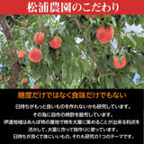 桃 【伊達 松浦農園】 硬い もも 3kg 8~12個 福島県 伊達市  《8/1~8/13の出荷》