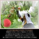 桃  【遠藤農園】 もも 訳あり 家庭用 B品 3.5kg サイズ品種お任せ 福島県 会津 《7/下旬～8/上旬より出荷》