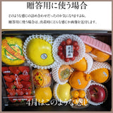 【ひかりグループ】フルーツ生活 旬の 果物 詰合せ 山形県産が必ず入る 内容が毎日変わる フルーツ詰め合わせ  記念日 誕生日