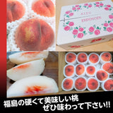 桃  【遠藤農園】 もも 訳あり 家庭用 B品 5kg 14～22個 サイズ品種お任せ 福島県  《7/下旬～8/上旬より出荷》