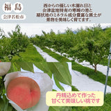 桃 【遠藤農園】 もも 3.5kg 大玉9～12個 贈答 品種色々 福島県 《7/下旬～8/上旬から出荷》