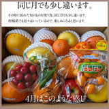 【ひかりグループ】フルーツ生活 旬の 果物 詰合せ 山形県産が必ず入る 内容が毎日変わる フルーツ詰め合わせ  記念日 誕生日