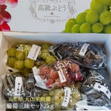 ぶどう 【大山果樹園】 葡萄 詰め合わせ ぶどう三昧セット（ シャインマスカット 入り） ４～６種類 約2kg 山形県 フルーツ 果物 《9/中旬～9/下旬より出荷》 敬老の日