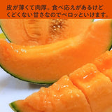 メロン 【OTM出荷組合】 レノン 2L 2玉 糖度15度以上 贈答用 茨城県鉾田市 《5/中旬～5/下旬より出荷》
