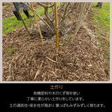 ブルーベリー 【三春インターブルーベリー園】 冷凍ブルーベリー 中粒以上 2kg(1kg×2箱) 国産 福島県 三春町 冷凍 フルーツ 果物《7/中旬より出荷》