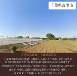スイカ 【富里すいか園】 富里スイカ  L～2L 6～8kg 1個 千葉県富里市 すいか 父の日 《5/下旬～6/上旬より出荷》