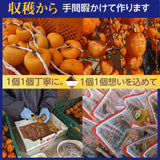 干し柿 【種まきうさぎ】 五十沢 あんぽ柿 2kg 20～30個 家庭用 福島県 伊達《12/15頃～12/下旬より出荷》