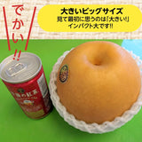 梨 【乙連沢梨園】大きい にっこり 大ビッグサイズ 5kg (1kg×5個) 贈答用 栃木県 《10/上旬～10中旬より出荷》