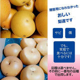 梨 【グリーンファーム】 萱場梨 訳あり 家庭用 5kg ９～20玉 福島県 福島市 和梨 《8/下旬～9/上旬より出荷》