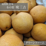 梨 【グリーンファーム】 萱場梨 冬の梨 晩三吉 6kg サイズ色々 8～12個 福島県 福島市 和梨 《12/中旬より出荷》食べ頃は12/下旬から