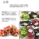 ぶどう 【土屋農園】 葡萄 詰め合わせ 3.8kg 5～7房 シャインマスカット入り 4～5種類 贈答用 山形県 高畠 《9/中旬～9/下旬より出荷》 フルーツ 果物