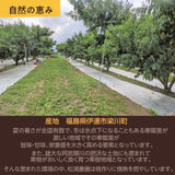 桃 【伊達 松浦農園】 硬い もも 3kg 8~12個 福島県 伊達市  《8/1~8/13の出荷》