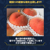 桃 【伊達 松浦農園】 硬い もも 3kg 8~12個 福島県 伊達市  《8/1~8/13の出荷》