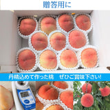 桃 【伊達 松浦農園】 硬い もも 5kg 大玉 14～16個 福島県 伊達市 贈答用  《7/下旬～8/上旬出荷》