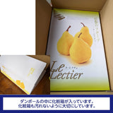 洋梨 【佐藤果樹園】 洋なし ル・レクチェ 4kg 大玉 8～10玉 贈答用 新潟県 ルレクチェ  御歳暮 お歳暮 《11/下旬～12/上旬より出荷》