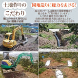 柑橘 【高石垣ファーム】 有田地区 柑橘食べ比べ 3種類以上 家庭用 4kg 訳あり みかん 和歌山県 《3/上旬～3/中旬より出荷》