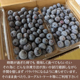 ブルーベリー 【三春インターブルーベリー園】 冷凍ブルーベリー 中粒以上 3kg(1kg×3箱) 国産 福島県 三春町 冷凍 フルーツ 果物《7/中旬より出荷》