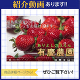 いちご 【有慶農園】 とちおとめ デラックス 3L～4L 大玉24～30粒（12～15個×2パック） 福島県須賀川 苺 イチゴ 《1/中旬～1/下旬より出荷》